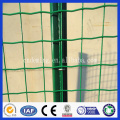 DM Low Carbon Steel Euro Style Wire Mesh Fechten, 50 * 100 Green Pvc beschichtet Welle geschweißt Mesh Zaun